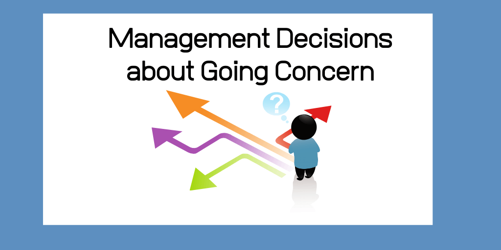 Going Concern Decisions 