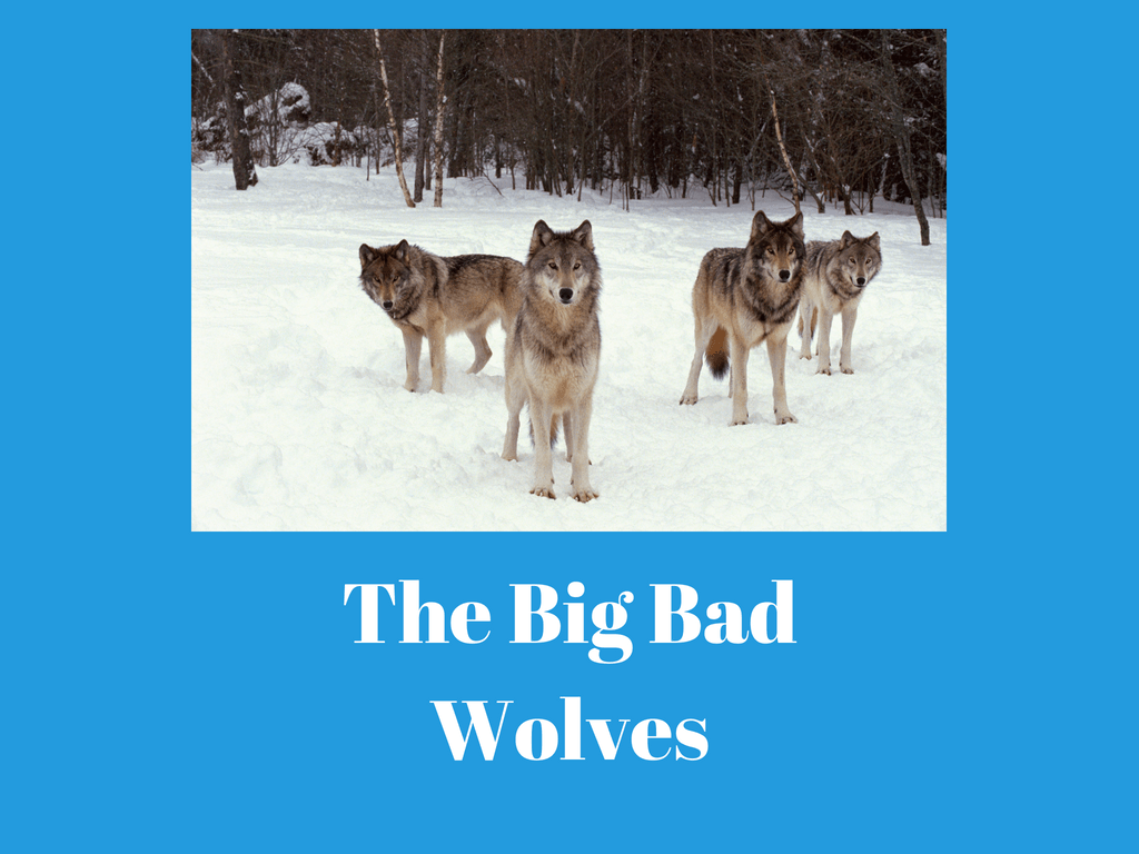 The Auditor's Responsibility for Fraud - The Big Bad Wolves
