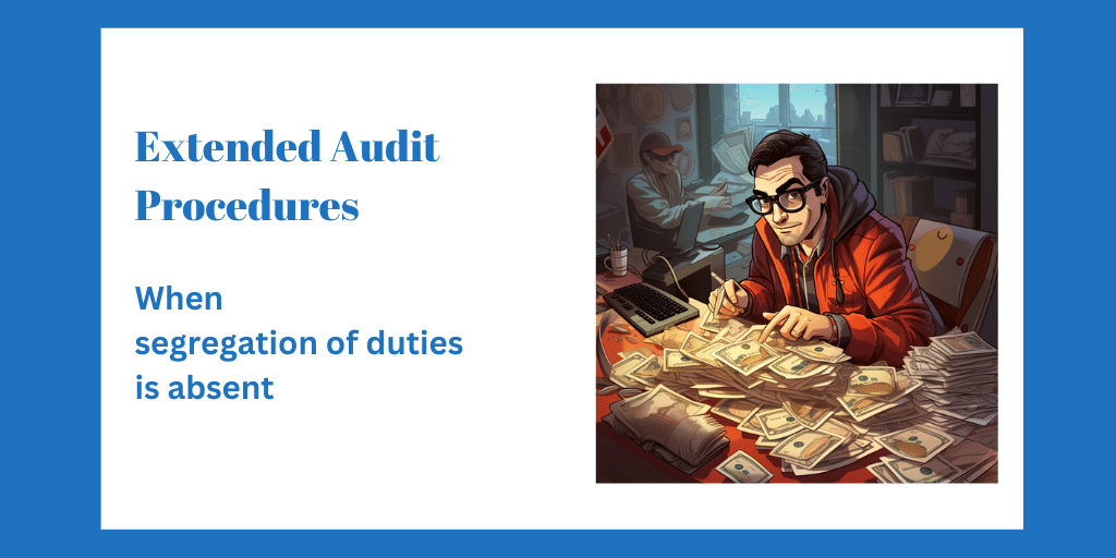 extended audit procedures
