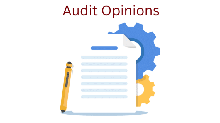 Audit opinions